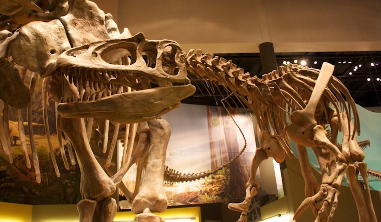 Unlocking Museum Treasures: The Quest for Standardizing Collections Data for Accessibility
