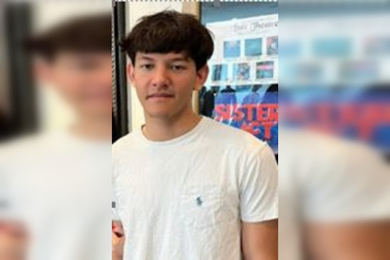 Urgent Search for Endangered Missing Teen Allister Nasr in St. Petersburg Following Disturbing Note Discovery