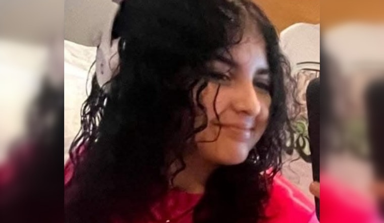 Urgent Search for Missing 14-Year-Old Julianah Rodriguez in Zephyrhills Area