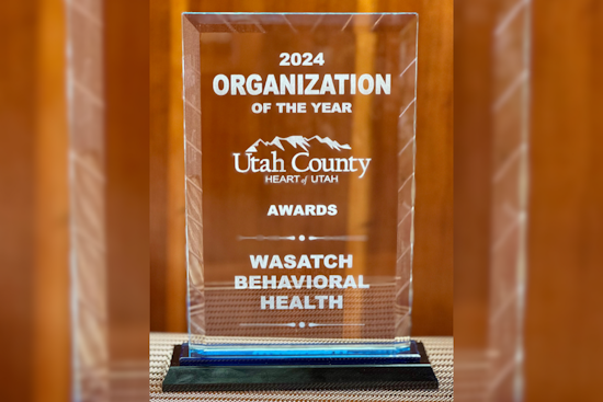 Utah County Honors Local Heroes: Person of the Year and Businesses Making a Difference