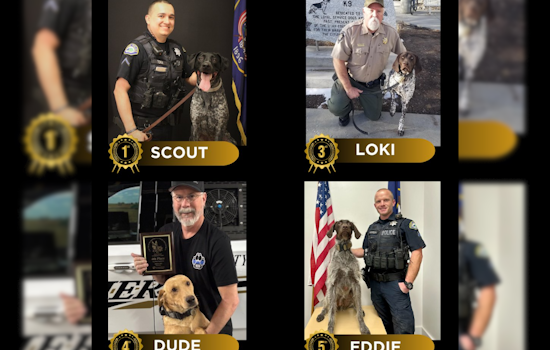 Utah County K9 Units Triumph at 33rd Annual Las Vegas K9 Trials, Provo Police and Sheriff's Office Dogs Clinch Top Honors