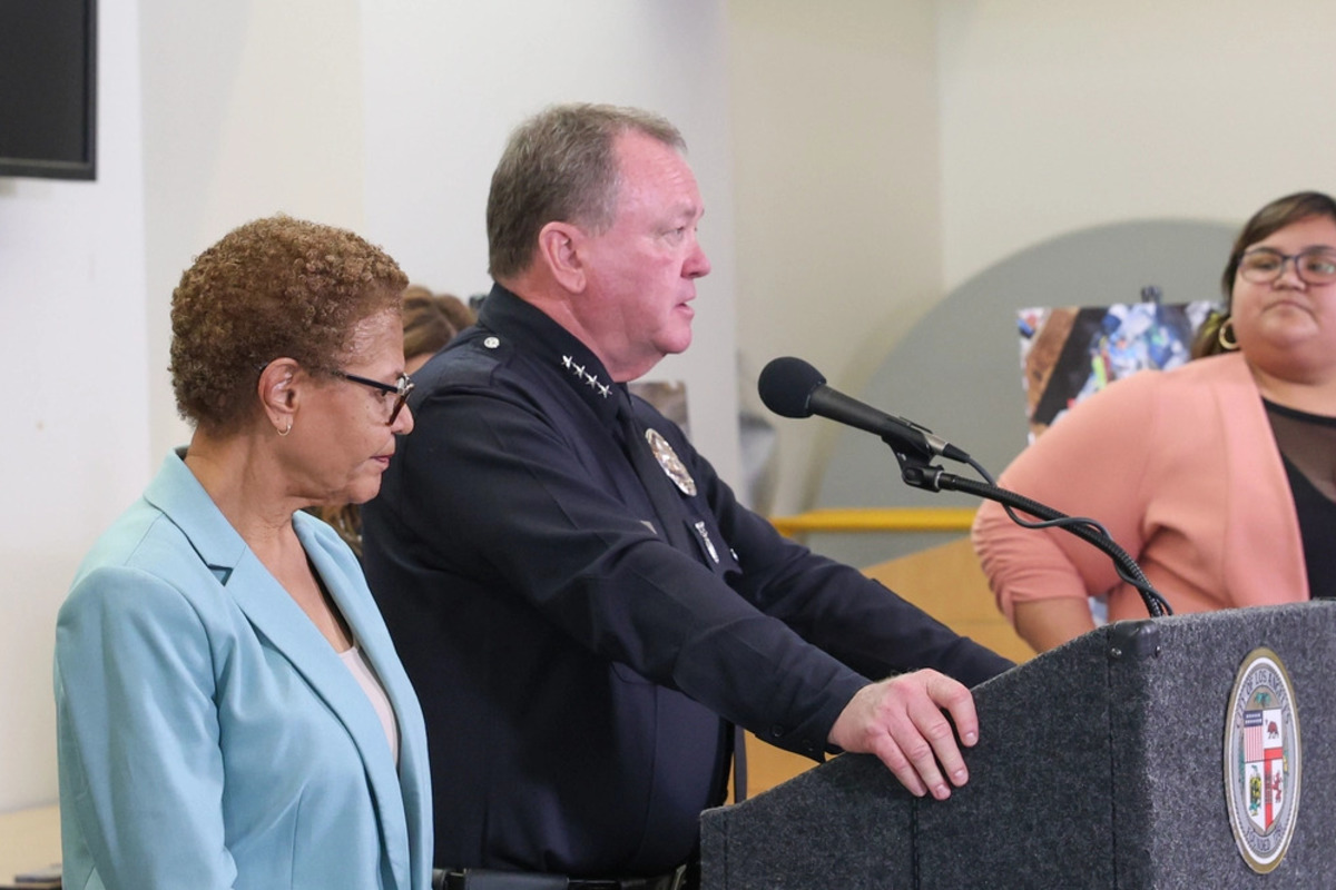 MACARTHUR PARK LOS ANGELES CRIME visual data 6