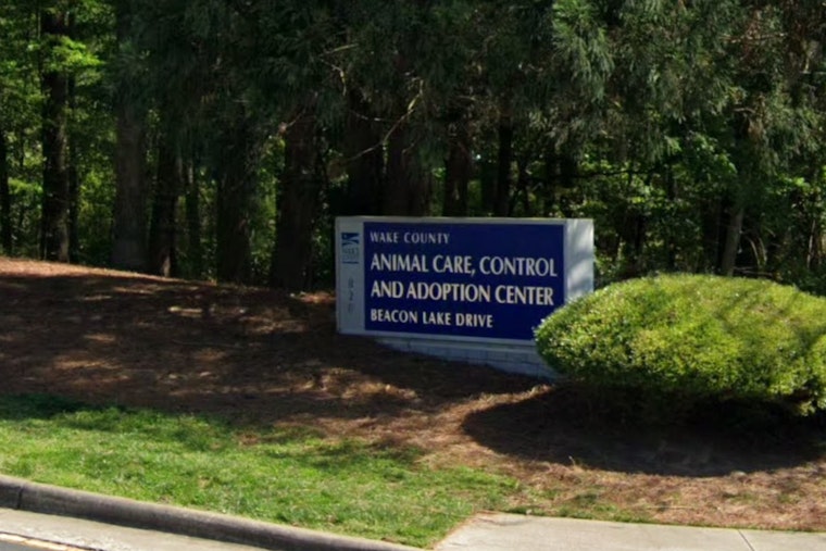 Wake County Animal Center to Reopen Adoptions on March 3 Following Contagious Illness Recovery