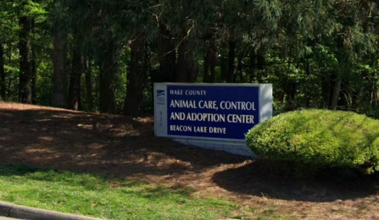 Wake County Animal Center to Reopen Adoptions on March 3 Following Contagious Illness Recovery