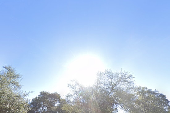 Warm and Windy Conditions Expected in Houston with Clear Skies and High of 79 Degrees Today