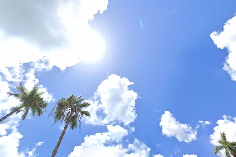 Warm Sunshine and Gentle Breezes, Miami to Enjoy Comfortable 82°F Highs Ahead of Mild Front