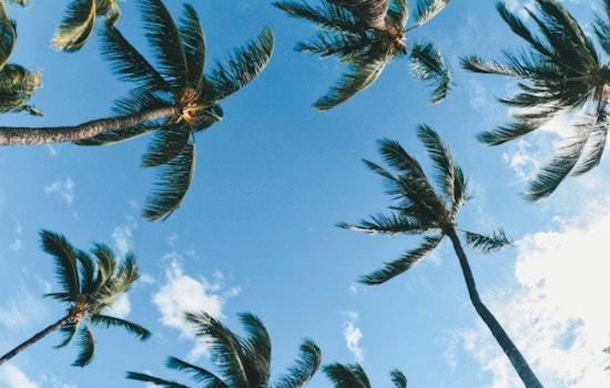 Warm, Windy Weather with Chances of Weekend Showers Expected in Miami