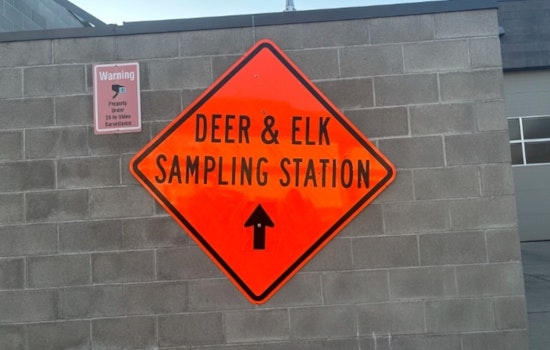 Washington Introduces Stringent Regulations to Curb Chronic Wasting Disease Spread