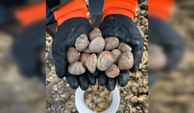 Washington State Opens Clam Oyster and Mussel Seasons as Shellfish Enthusiasts Gear Up for Spring Harvest