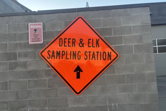 Washington State Tightens Measures to Combat Spread of Chronic Wasting Disease in Wildlife