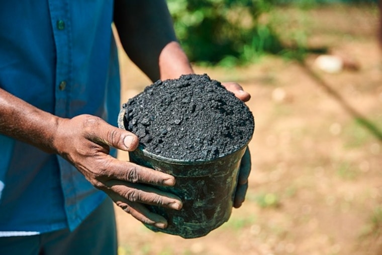 Washington State University Launches $5M Study on Biochar and Hemp's Impact on Crop Yields and Soil Health