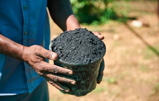 Washington State University Launches $5M Study on Biochar and Hemp's Impact on Crop Yields and Soil Health