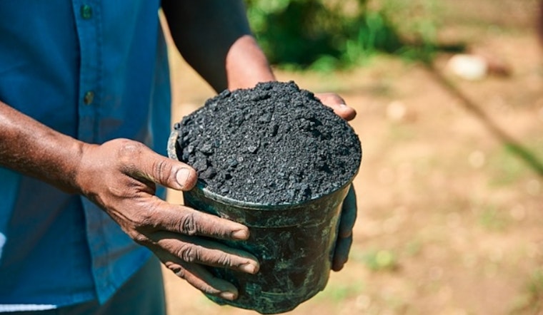 Washington State University Launches $5M Study on Biochar and Hemp's Impact on Crop Yields and Soil Health