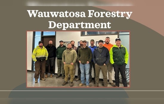 Wauwatosa Wins Praise for Urban Greenery, Wisconsin Forestry Innovators Celebrated at Conference