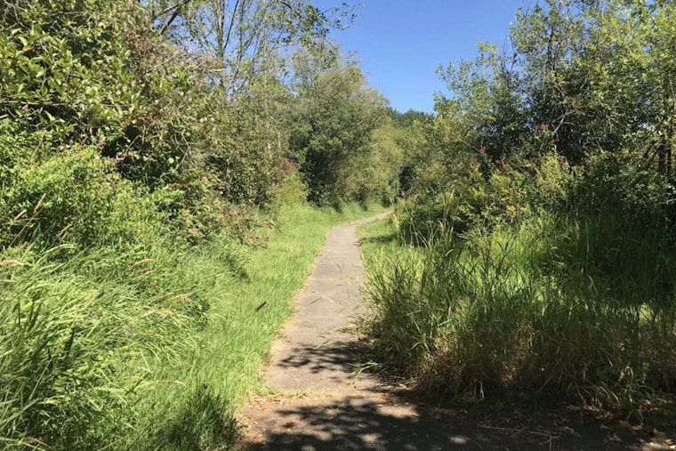 WDFW Seeks Public Feedback on Recreational Plans for Olympic-Willapa Hills Wildlife Areas