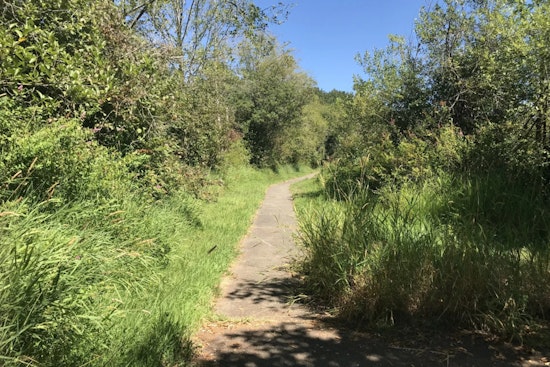 WDFW Seeks Public Feedback on Recreational Plans for Olympic-Willapa Hills Wildlife Areas