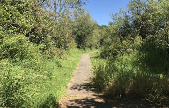 WDFW Seeks Public Feedback on Recreational Plans for Olympic-Willapa Hills Wildlife Areas