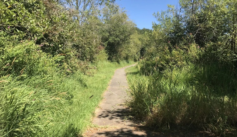 WDFW Seeks Public Feedback on Recreational Plans for Olympic-Willapa Hills Wildlife Areas