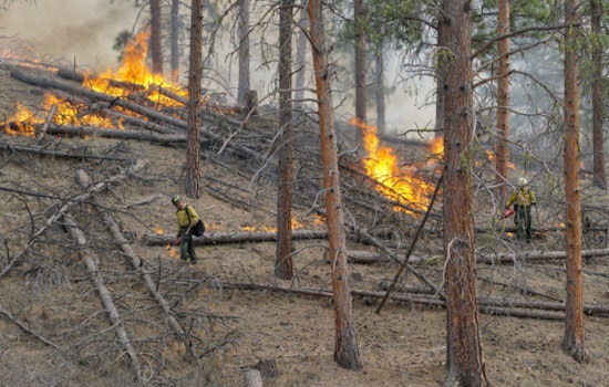 WDFW Sets Prescribed Burns in Pend Oreille and Ferry Counties to Bolster Wildlife Habitats and Prevent Wildfires