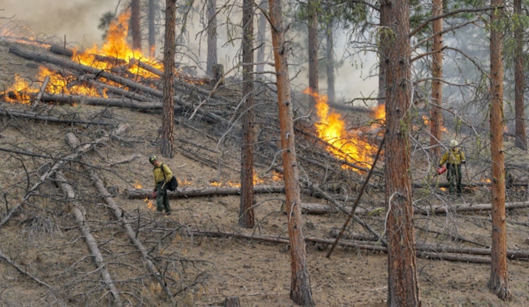 WDFW Sets Prescribed Burns in Pend Oreille and Ferry Counties to Bolster Wildlife Habitats and Prevent Wildfires