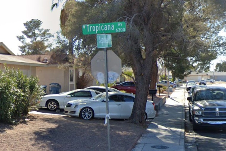 West Las Vegas Mobile Home Fire Claims Lives of Two Dogs, Displaces Residents