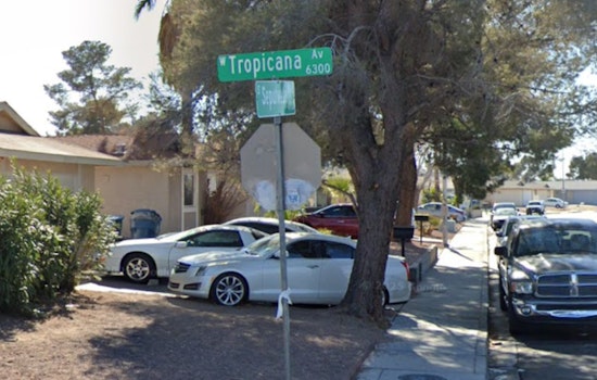 West Las Vegas Mobile Home Fire Claims Lives of Two Dogs, Displaces Residents
