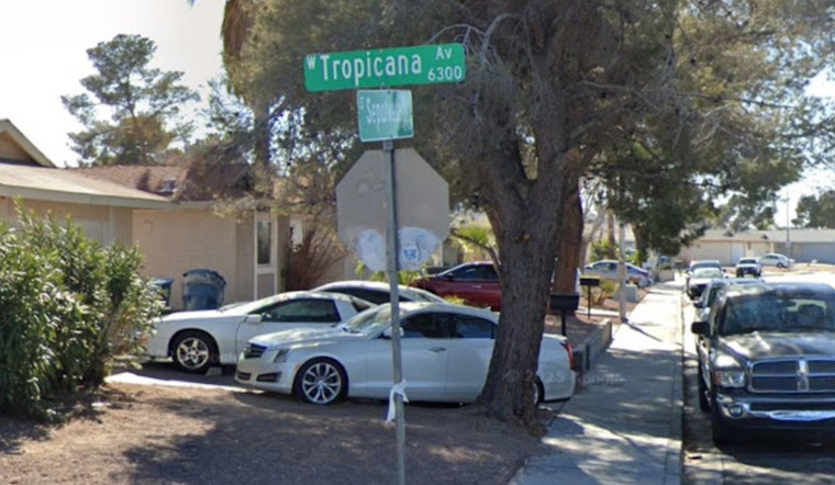 West Las Vegas Mobile Home Fire Claims Lives of Two Dogs, Displaces Residents