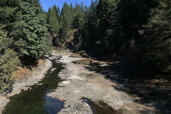 Western Washington's Chehalis Basin Strategy, Investing in Flood Control and Species Revival