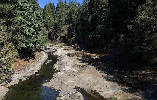 Western Washington's Chehalis Basin Strategy, Investing in Flood Control and Species Revival