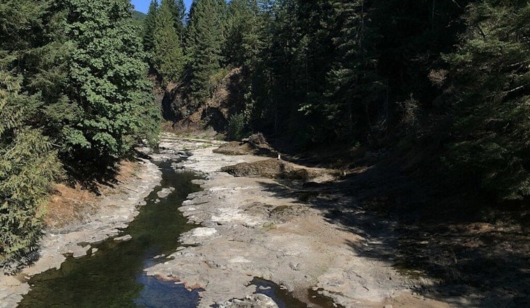Western Washington's Chehalis Basin Strategy, Investing in Flood Control and Species Revival
