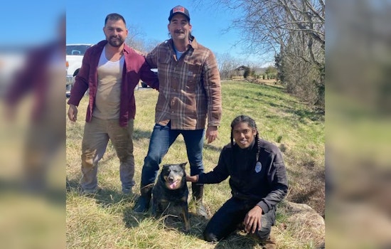 Williamson County ACO Heroically Rescues Dog Trapped in Thompson's Station Storm Drain