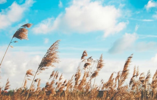 Wind Advisory in Effect for Delaware Maryland New Jersey and Pennsylvania NWS Cautions Residents
