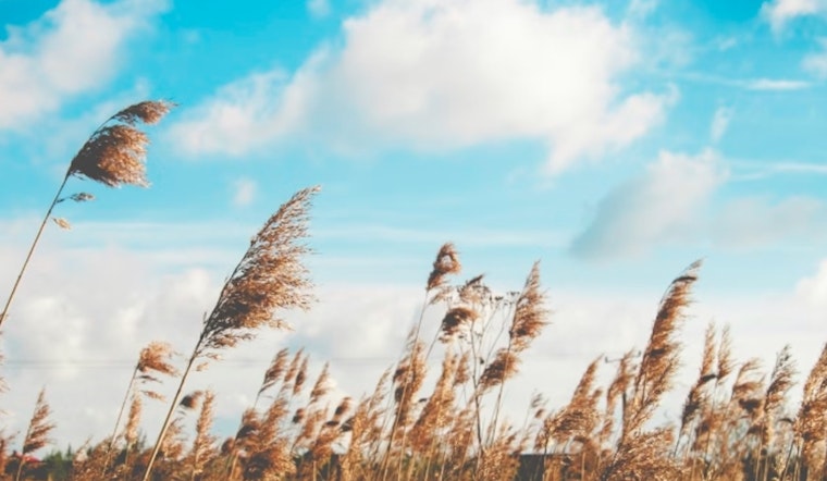 Wind Advisory in Effect for Delaware Maryland New Jersey and Pennsylvania NWS Cautions Residents