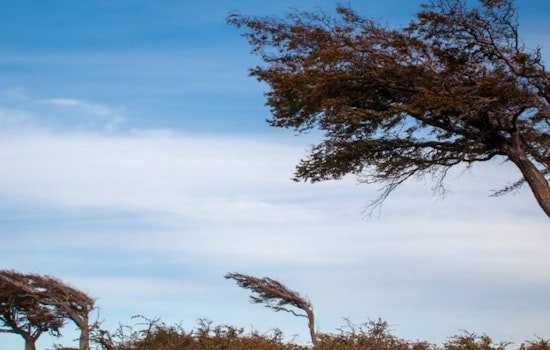 Wind Advisory Issued for Wilmington, Philadelphia, and Surrounding Areas Amid Gusty Conditions
