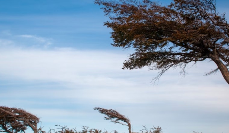Wind Advisory Issued for Wilmington, Philadelphia, and Surrounding Areas Amid Gusty Conditions