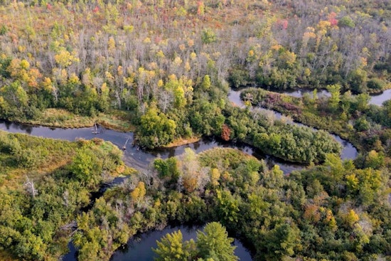 Wisconsin DNR Caps Off Spotlight Series with Educational Session on Trout Stream Habitat in Waushara, Marquette, and Waupaca