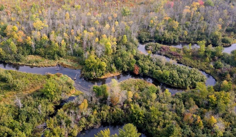Wisconsin DNR Caps Off Spotlight Series with Educational Session on Trout Stream Habitat in Waushara, Marquette, and Waupaca