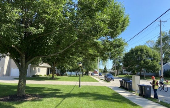 Wisconsin DNR Highlights Importance of Large Trees in Milwaukee and Madison for Ecosystem Services