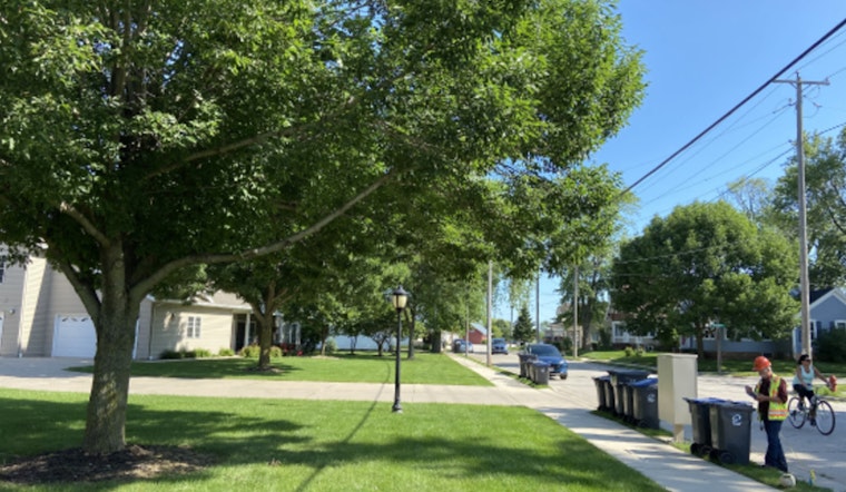 Wisconsin DNR Highlights Importance of Large Trees in Milwaukee and Madison for Ecosystem Services