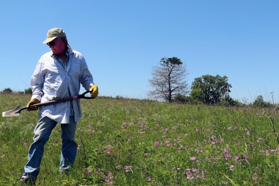 Wisconsin DNR Seeks Community Scientists to Monitor Endangered Species in 2025 Initiative