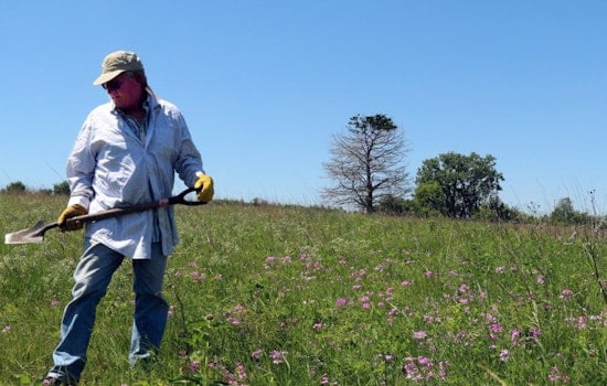 Wisconsin DNR Seeks Community Scientists to Monitor Endangered Species in 2025 Initiative