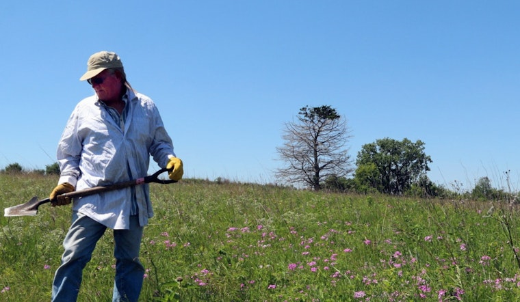 Wisconsin DNR Seeks Community Scientists to Monitor Endangered Species in 2025 Initiative