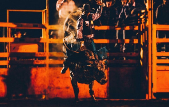 Young Texans Triumph at RodeoHouston, Record $1.4M Earned in Junior Market Steer Auction