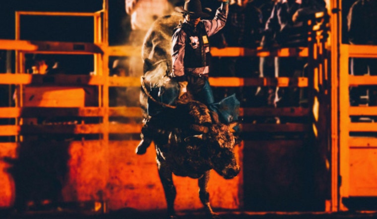Young Texans Triumph at RodeoHouston, Record $1.4M Earned in Junior Market Steer Auction