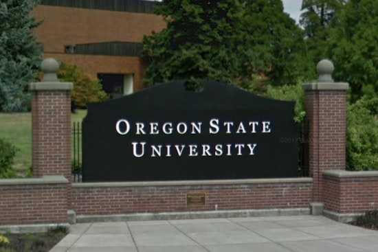 19 International Students in Oregon Face Deportation After Sudden Visa Revocations by Trump Administration