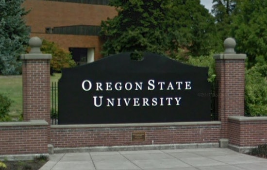 19 International Students in Oregon Face Deportation After Sudden Visa Revocations by Trump Administration