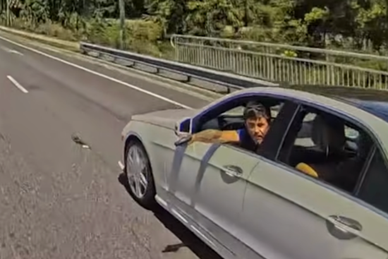 22-Year-Old Arrested for Aggravated Assault in Polk County Road Rage Incident Caught on Dashcam