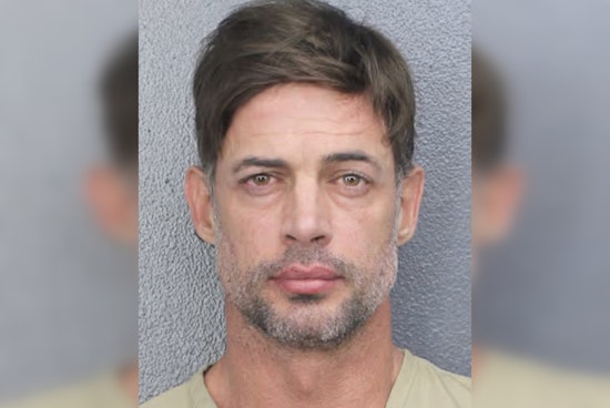 Actor William Levy Charged with Disorderly Intoxication and Trespassing in Weston, Florida