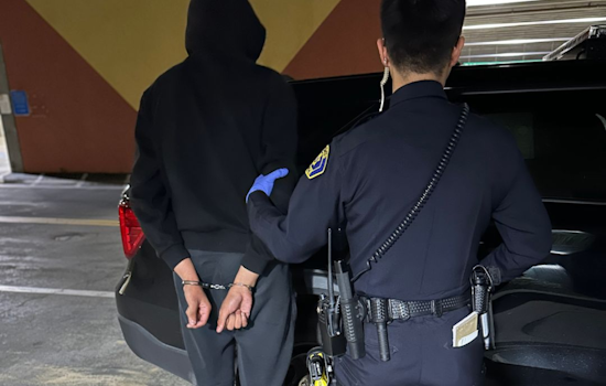 Alert Milpitas Resident Assists in Apprehension of Juvenile Suspect for Great Mall Auto Burglaries