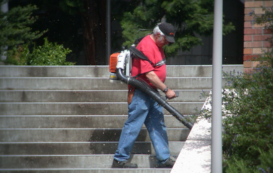 Annapolis Enforces Gas-Powered Leaf Blower Ban, Penalties Now Apply to Violators